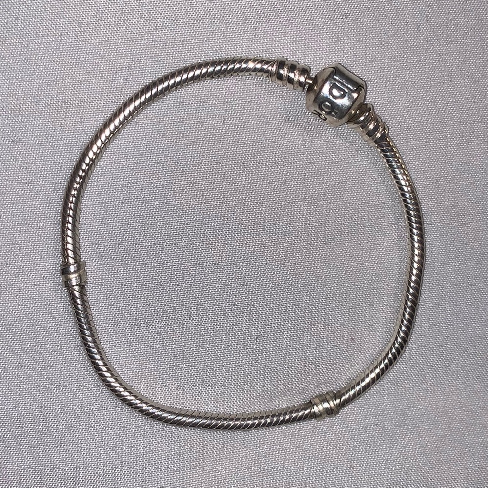 Pandora Charm Bracelet